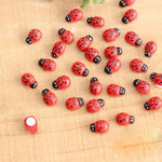 Coccinelles en bois de décoration