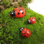 Coccinelles en bois de décoration