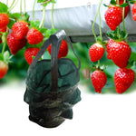 Sac de culture de jardin bonsaï fraise