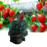 Sac de culture de jardin bonsaï fraise