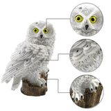 Lampe solaire hibou, décoration