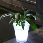 Pot de fleurs LED éclairage, décoration