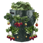 Sac de culture de jardin bonsaï fraise