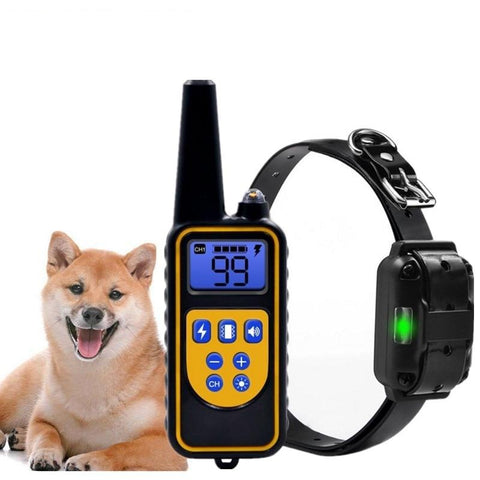 Collier de dressage chien