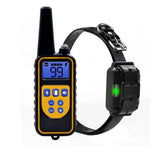Collier de dressage chien