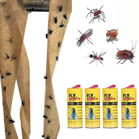 Papier collant fourmi, mouche, répulsif insectes