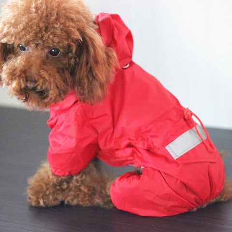 Imperméable à capuche , vêtement de pluie, animaux de compagnie