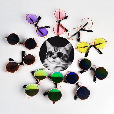 Lunettes de soleil pour Animaux de compagnie