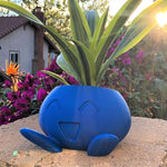 Pots de fleurs Pokemon, décoration jardin