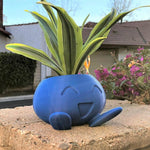 Pots de fleurs Pokemon, décoration jardin